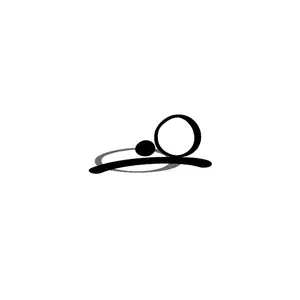 shadowing_cover.webp
