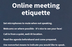 online-meeting-etiquette-cover.png