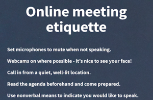 online-meeting-etiquette-cover.png