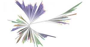 tree-of-life-rotated830.jpg