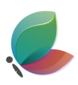 Life Transition® Consulting