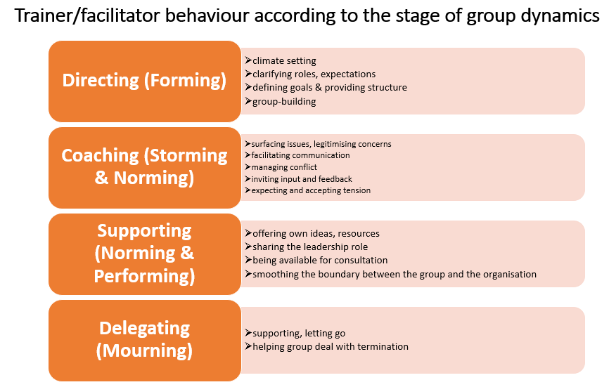 Trainer behaviour - Tuckman model